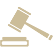 criminal and fraud litigation icon